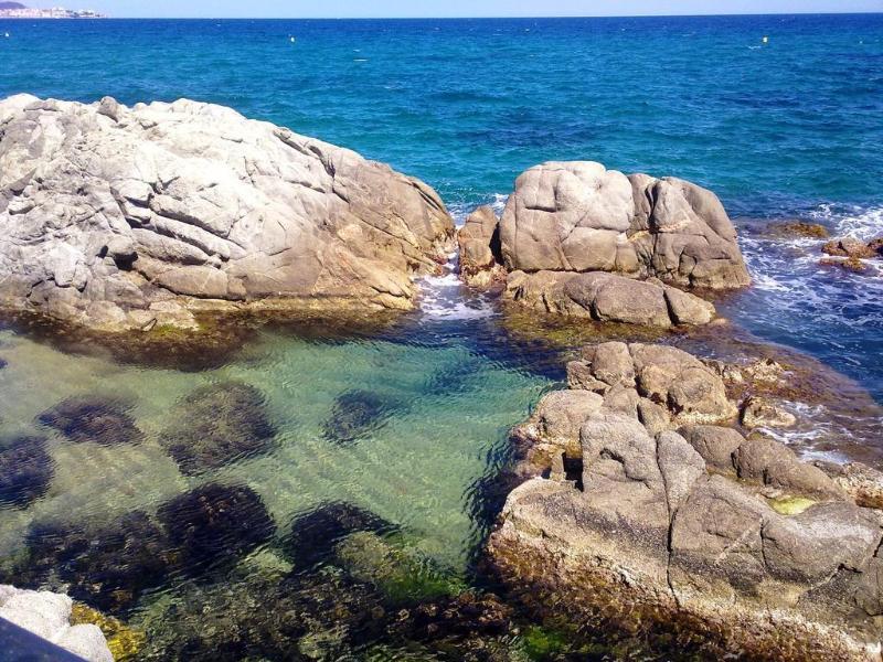 Hotel Cap Roig & Spa By Brava Hoteles 플라티야 다로 외부 사진